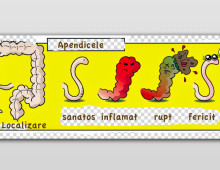 Semnele apendicitei. Tratament sau operație?