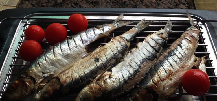 Scrumbia de Dunăre, cel mai bun dislipidemiant