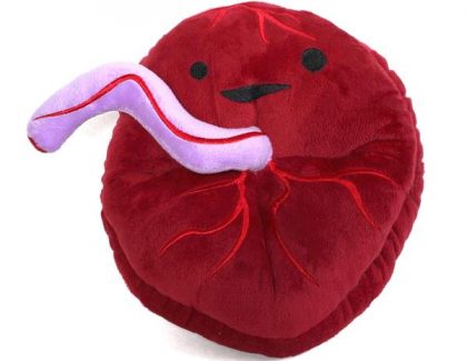 Israelul are sub 1% rata de mortalitate COVID-19. Tratamentul dezvăluit de Jerusalim Post