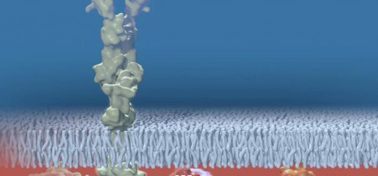 Descoperire uriașă / Noi medicamente, în stare să oprească evoluția cancerului